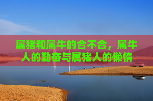 属猪和属牛的合不合，属牛人的勤奋与属猪人的懒惰