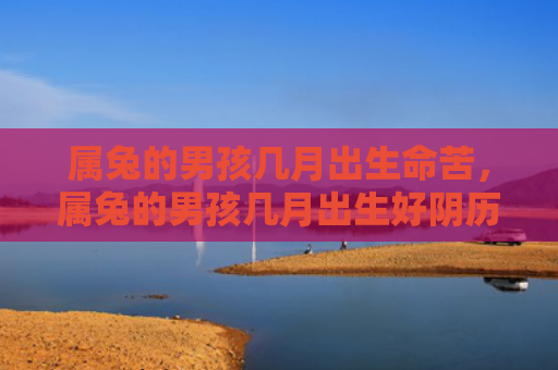 属兔的男孩几月出生命苦，属兔的男孩几月出生好阴历