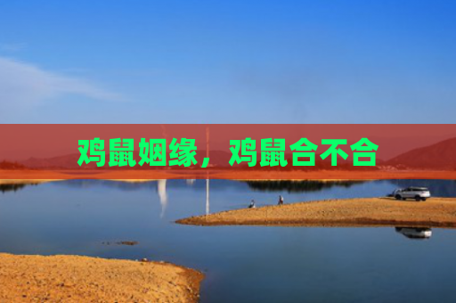 鸡鼠姻缘，鸡鼠合不合