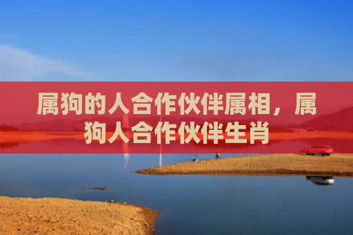 属狗的人合作伙伴属相，属狗人合作伙伴生肖