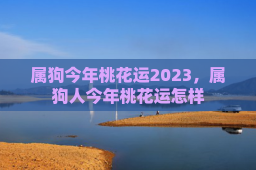 属狗今年桃花运2023，属狗人今年桃花运怎样