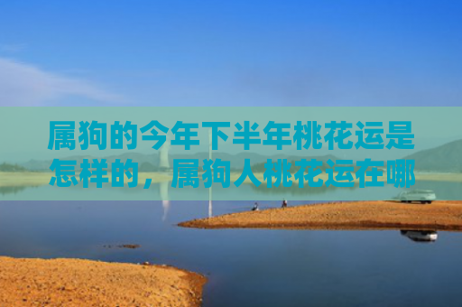 属狗的今年下半年桃花运是怎样的，属狗人桃花运在哪年