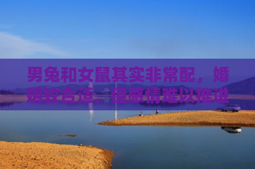 男兔和女鼠其实非常配，婚姻较合适，但感情难以推进
