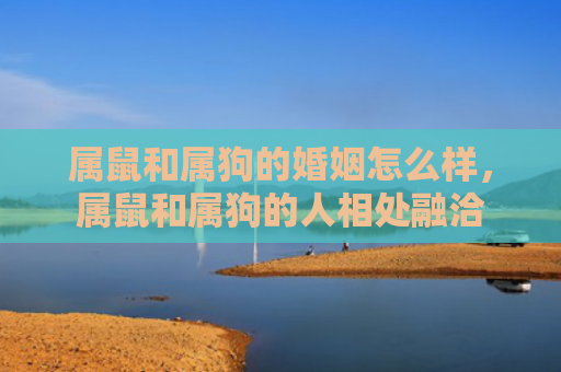 属鼠和属狗的婚姻怎么样，属鼠和属狗的人相处融洽