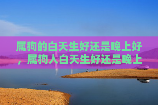 属狗的白天生好还是晚上好，属狗人白天生好还是晚上生好