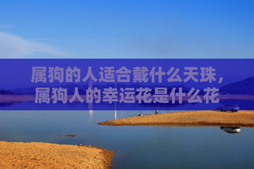 属狗的人适合戴什么天珠，属狗人的幸运花是什么花