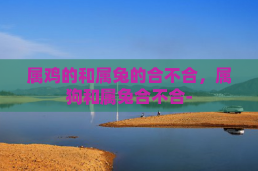 属鸡的和属兔的合不合，属狗和属兔合不合-