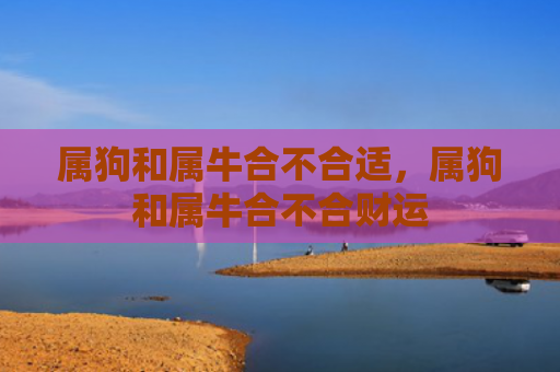 属狗和属牛合不合适，属狗和属牛合不合财运