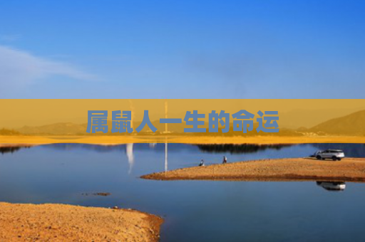 属鼠人一生的命运