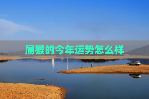属猴的今年运势怎么样