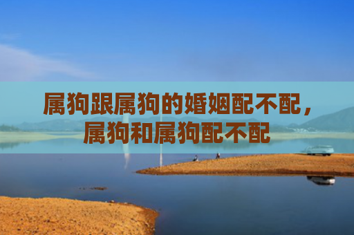 属狗跟属狗的婚姻配不配，属狗和属狗配不配