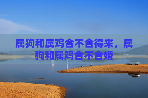 属狗和属鸡合不合得来，属狗和属鸡合不合婚