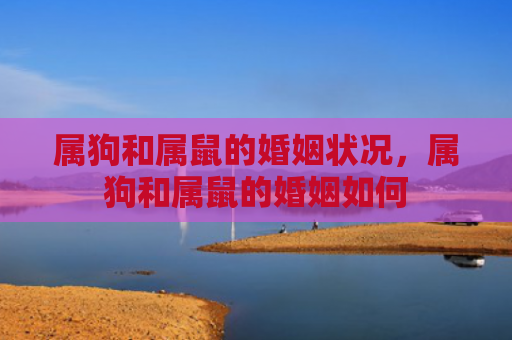属狗和属鼠的婚姻状况，属狗和属鼠的婚姻如何