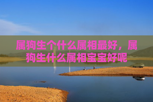 属狗生个什么属相最好，属狗生什么属相宝宝好呢