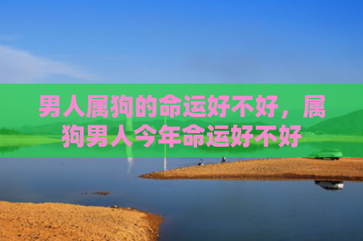 男人属狗的命运好不好，属狗男人今年命运好不好