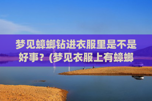 梦见蟑螂钻进衣服里是不是好事？(梦见衣服上有蟑螂是什么意思)