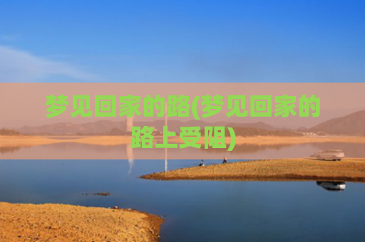 梦见回家的路(梦见回家的路上受阻)