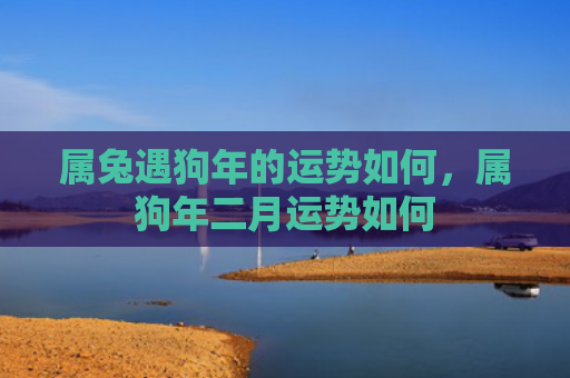 属兔遇狗年的运势如何，属狗年二月运势如何