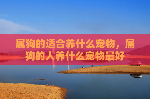 属狗的适合养什么宠物，属狗的人养什么宠物最好