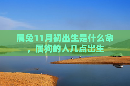 属兔11月初出生是什么命，属狗的人几点出生