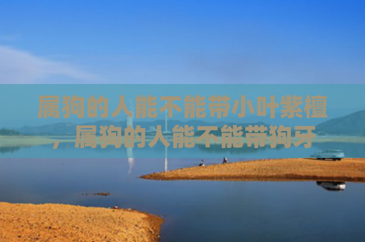 属狗的人能不能带小叶紫檀，属狗的人能不能带狗牙