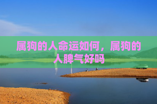 属狗的人命运如何，属狗的人脾气好吗