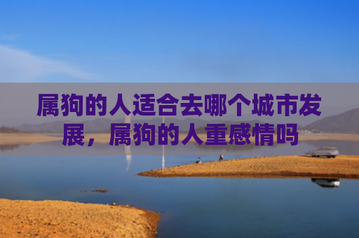 属狗的人适合去哪个城市发展，属狗的人重感情吗