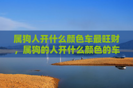 属狗人开什么颜色车最旺财，属狗的人开什么颜色的车好