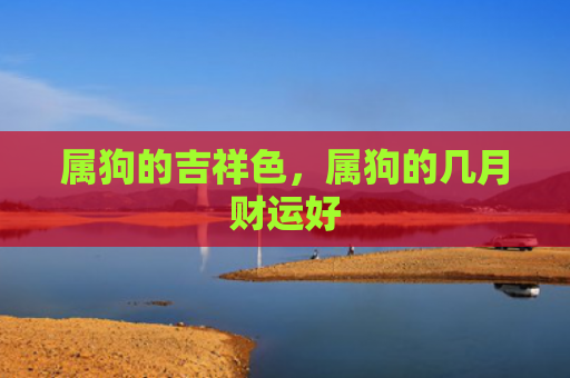 属狗的吉祥色，属狗的几月财运好