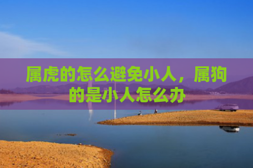 属虎的怎么避免小人，属狗的是小人怎么办