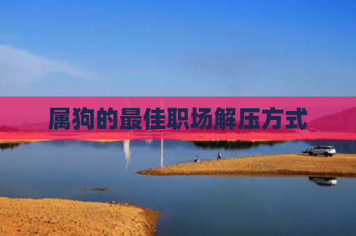 属狗的最佳职场解压方式
