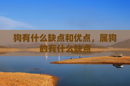 狗有什么缺点和优点，属狗的有什么缺点