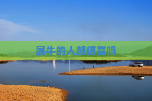 属牛的人颜值高吗