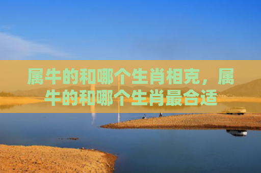 属牛的和哪个生肖相克，属牛的和哪个生肖最合适