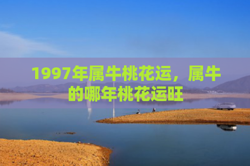 1997年属牛桃花运，属牛的哪年桃花运旺