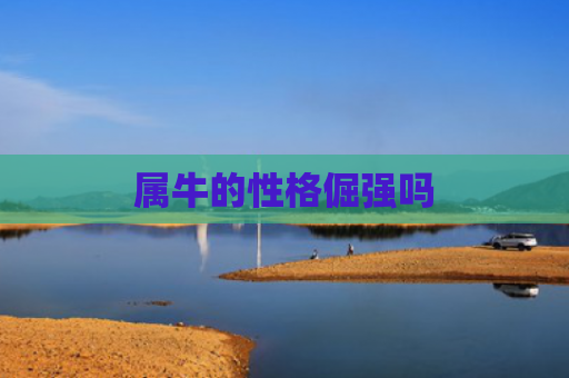 属牛的性格倔强吗