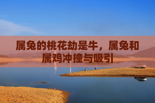 属兔的桃花劫是牛，属兔和属鸡冲撞与吸引
