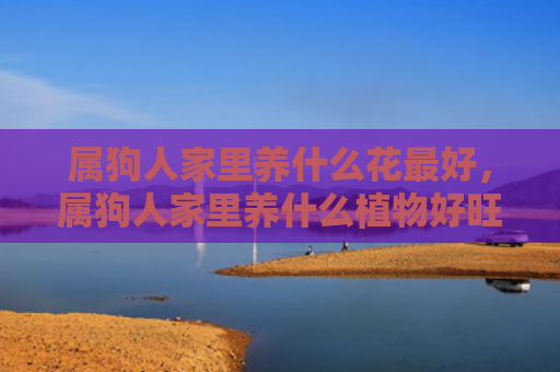 属狗人家里养什么花最好，属狗人家里养什么植物好旺财