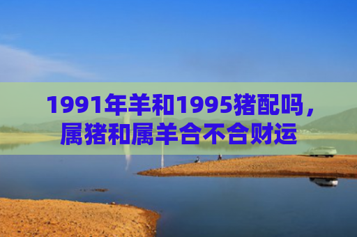 1991年羊和1995猪配吗，属猪和属羊合不合财运