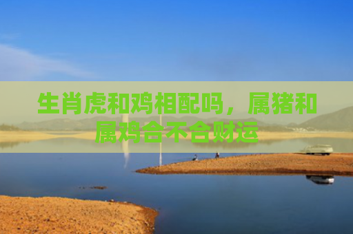 生肖虎和鸡相配吗，属猪和属鸡合不合财运