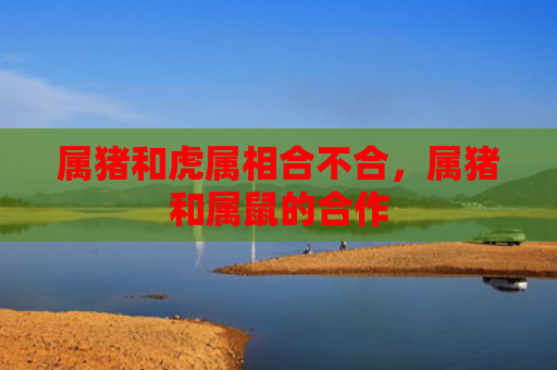 属猪和虎属相合不合，属猪和属鼠的合作
