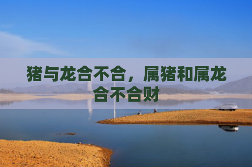 猪与龙合不合，属猪和属龙合不合财
