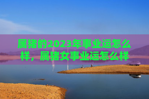 属猪的2023年事业运怎么样，属猪女事业运怎么样
