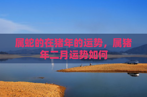 属蛇的在猪年的运势，属猪年二月运势如何