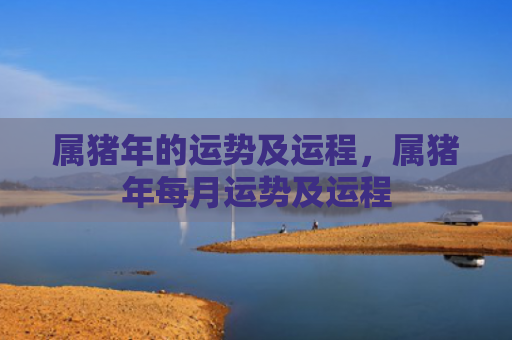 属猪年的运势及运程，属猪年每月运势及运程
