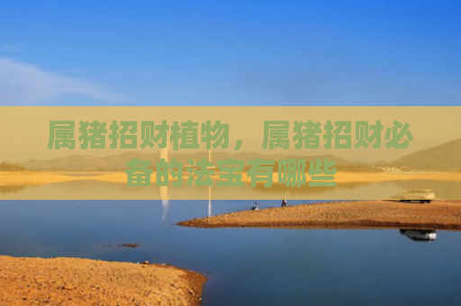 属猪招财植物，属猪招财必备的法宝有哪些