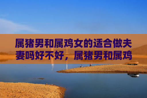 属猪男和属鸡女的适合做夫妻吗好不好，属猪男和属鸡女的婚姻配吗