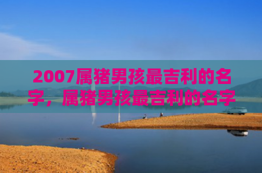 2007属猪男孩最吉利的名字，属猪男孩最吉利的名字免费体验