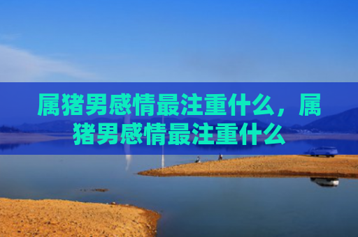 属猪男感情最注重什么，属猪男感情最注重什么