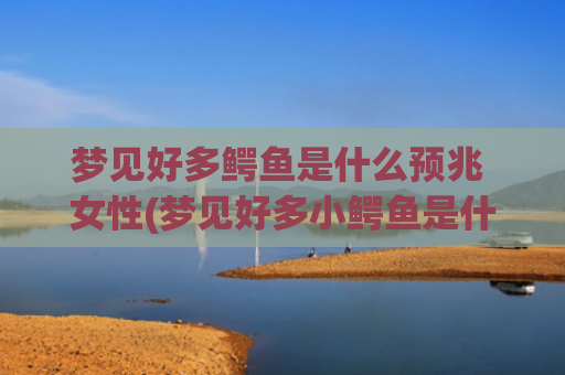 梦见好多鳄鱼是什么预兆 女性(梦见好多小鳄鱼是什么预兆)